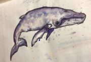 Emily T's watercolor of a whale