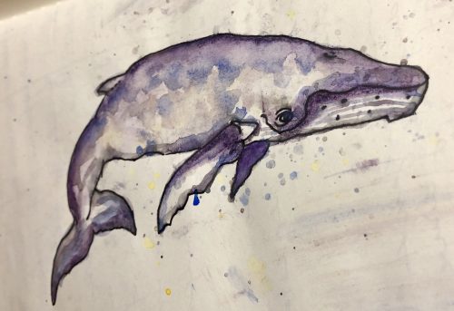 Emily T's watercolor of a whale