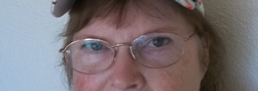 Nancy Springer